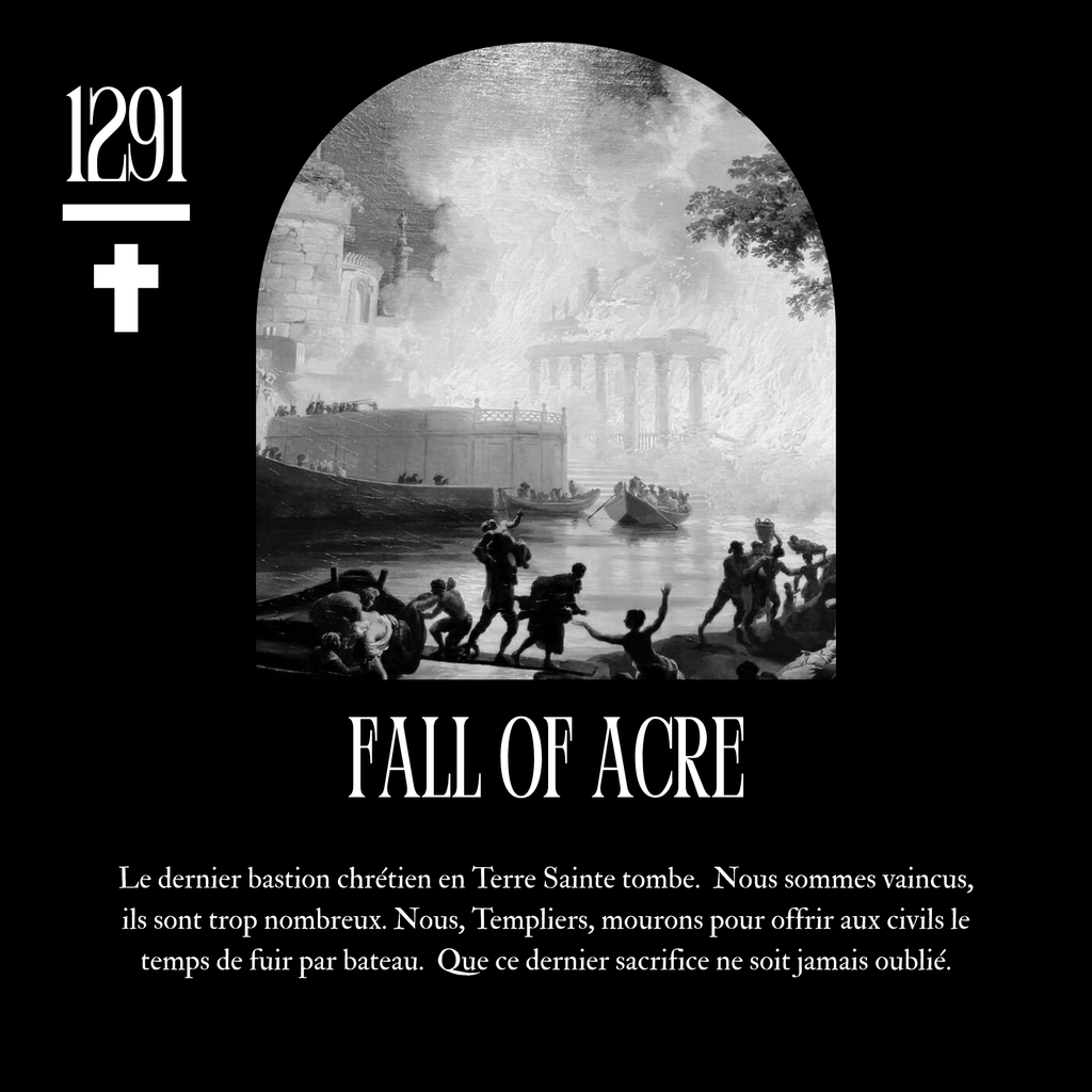 T-shirt Crusader Of France : IX