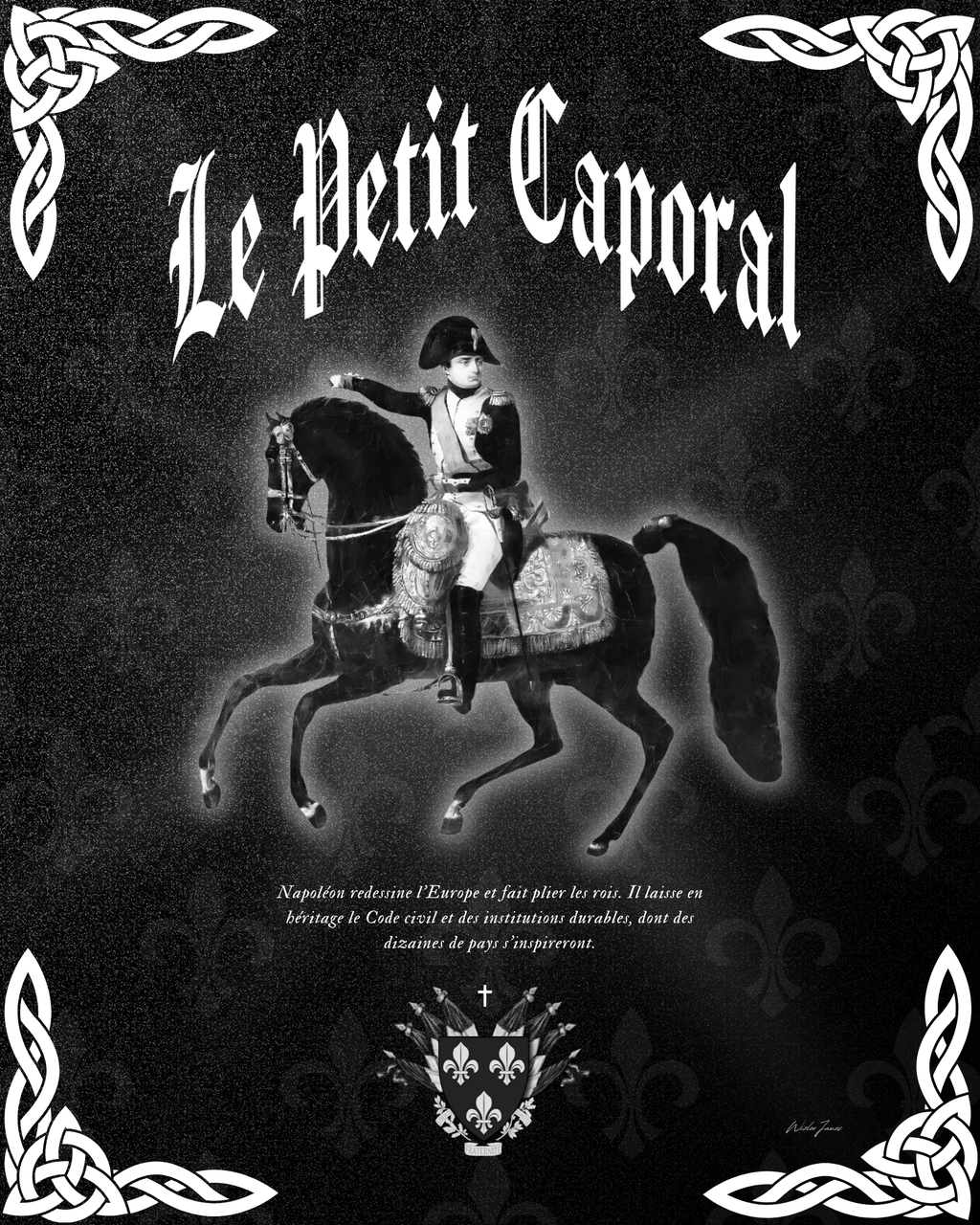 Tableau Artisanal en Or - Napoléon : I